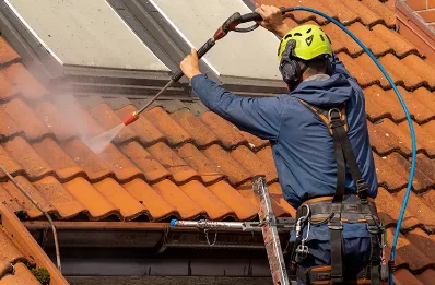Démoussage et hydrofuge de toiture à Lauzach